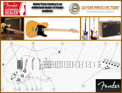 fender dealer site.